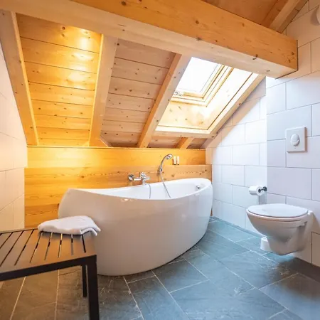 Beau Gustave 4 50m Piste Huez Express Chalet *