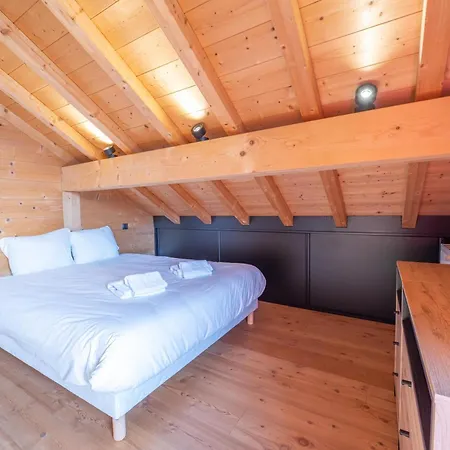 Beau Gustave 4 50m Piste Huez Express * Alpe d'Huez